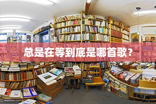 总是在等到底是哪首歌？
