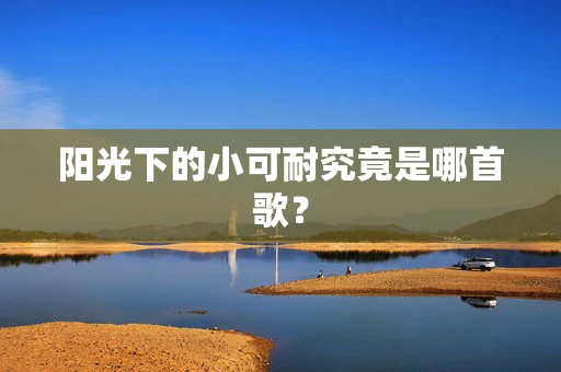 阳光下的小可耐究竟是哪首歌？