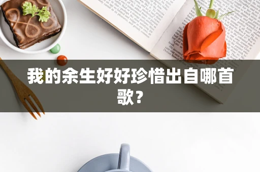 我的余生好好珍惜出自哪首歌？
