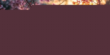于嘉乐最伤感的歌究竟是哪首？