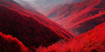 满山的红叶红似火究竟出自哪首歌？