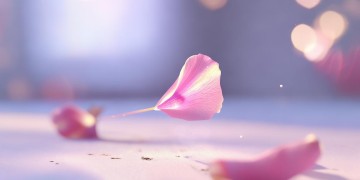 妹妹你想念我吗究竟出自哪首歌？