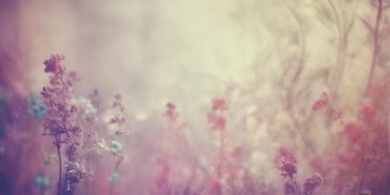 现在我能抱你吗出自哪首歌？