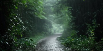 沿途冷雨冷风遇路究竟是哪首歌？