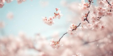 王菲曾送邓丽君的歌究竟是什么？