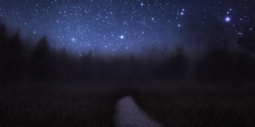 遇见你像星星出自哪首歌？