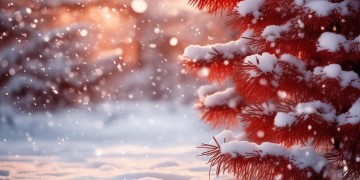 雪容融红通通究竟是哪首歌？