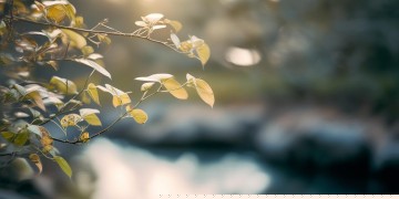 再次与空气握手出自哪首歌？