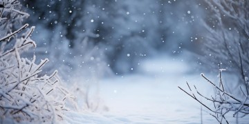 雪一遍一遍究竟是哪首歌？