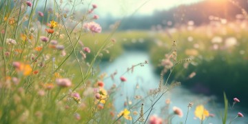 那一天起是哪首歌？