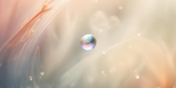 肺上有个小结节会是哪首歌？