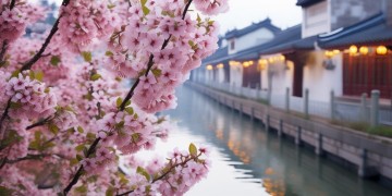 三月扬州花臭到底是什么歌？
