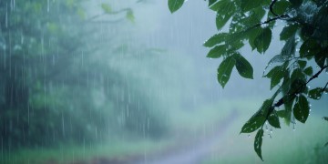 雨濛濛啊哦喂究竟是哪首歌？