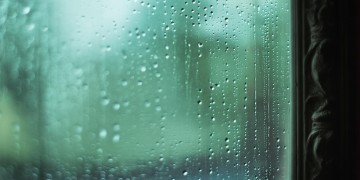 任凭窗外雨纷飞究竟是哪首歌？