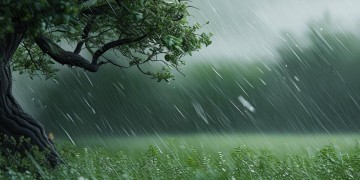 风雨中摇摆是哪首歌的歌词？