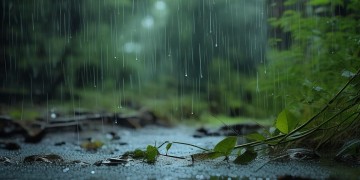 你听不到雨声出自哪首歌？