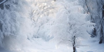 半生雪所指的歌究竟叫什么？