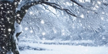 那些年飘过的大雪究竟是哪首歌？