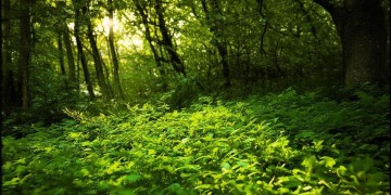 包含叶朝歌的小说究竟叫什么？