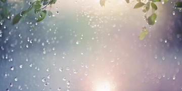 我们像风像雨究竟是哪首歌？