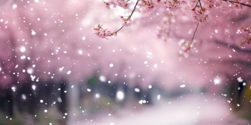 给你我的爱是邓紫棋的什么歌？