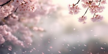 因为忍让与退缩究竟是哪首歌？