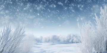 雪花雪花你在哪里究竟是哪首歌？