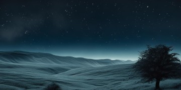 天上其实没有星星出自哪首歌？