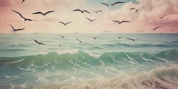 海鸥和我们的约定究竟是哪首歌？