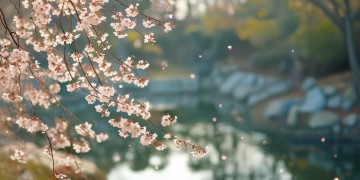 浮生为卿歌究竟何时能出师？