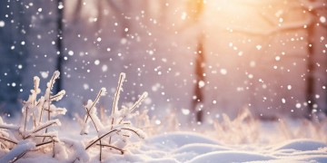 等到雪融化掉那天出自哪首歌？