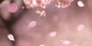 送你一个笑脸这句歌词出自什么歌？