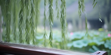 专门唱古代歌的人究竟叫什么？