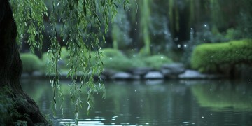 明月什么什么公子你究竟是哪首歌？