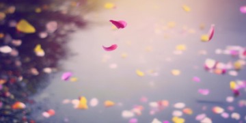 看落花三千出自哪首歌？