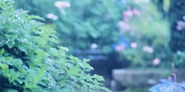 雨停了别忘了收究竟是哪首歌？