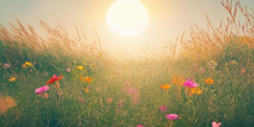 你心中的太阳是哪首歌？