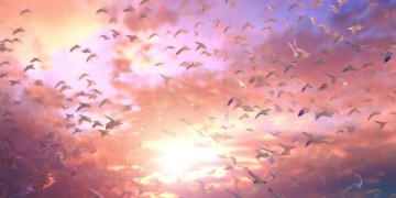 飞翔的年华应珍惜出自哪首歌？