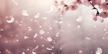 失去我的你出自哪首歌？