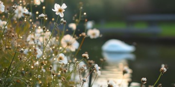 什么样的诗适合写成给闺蜜的歌？