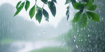 情深深来雨蒙蒙究竟是哪首歌？