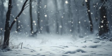 慢慢的听雪出自哪首歌？