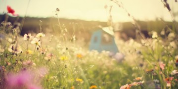 现在快乐就好了出自哪首歌？