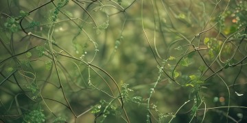 累累累累累累究竟是哪首歌？