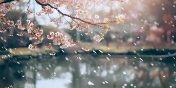 周杰伦有关于姐姐的歌吗？