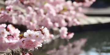 有你余生会幸福究竟是哪首歌？