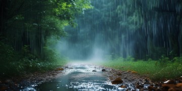 突然下雨，配什么歌好听？