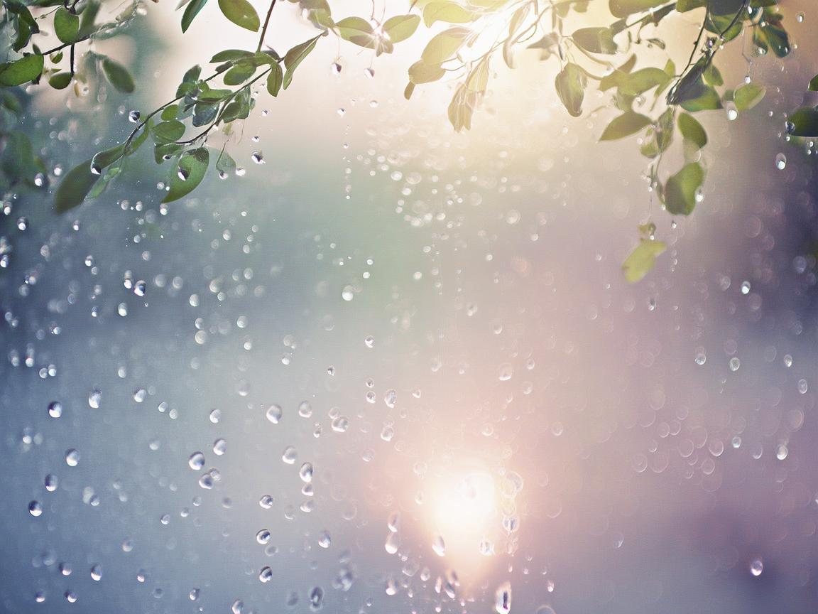 我们像风像雨究竟是哪首歌? 我们像风像雨究竟是哪首歌?