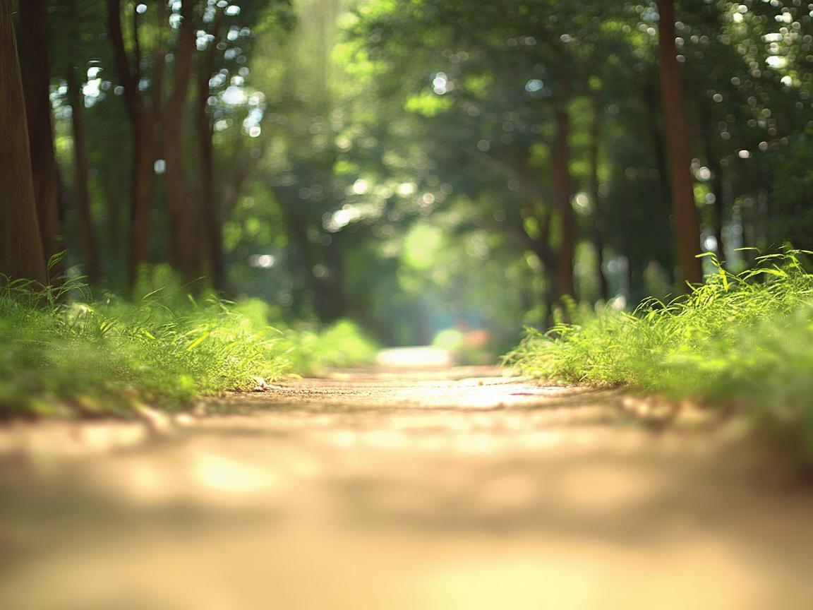 从你的全世界路过到底是什么歌? 从你的全世界路过到底是什么歌?